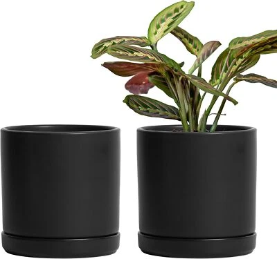 Plants Pots, 6 Inch Ceramic Planter Pot for Plants with Drainage Hole and Saucer - Image 1 of 4