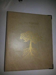 My Family Tree - Carpeta de almacenamiento de historia ref beige con 4d 40 mm capacidad metálica - Imagen 1 de 4