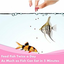Bottom Feeders Pond Fish Food For Sale Ebay