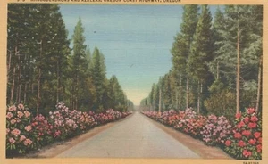 Rododendros y azaleas - Oregon Coast Highway, Oregon - litografía sin publicar - Imagen 1 de 3