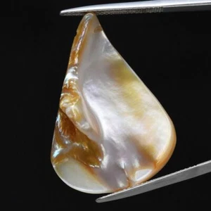 ★★ RARE !! NACRE DE THAILANDE : 17,34 CARATS ★★ P264.135T - Imagen 1 de 1