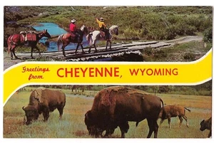 Greetings CHEYENNE Wyoming Name Band HORSE & RIDERS Buffalo Bison WY Postcard - Picture 1 of 2