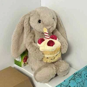 Jellycat 30cm Shy Bunny Rabbit Plush – Birthday Cake Edition - Children Gift - Picture 1 of 4