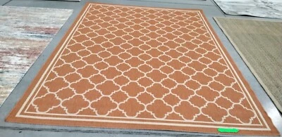 Alfombra TERRACOTA/HUESO 8' X 11' Corte, Precio Reducido 1172747446 CY6918-241-8 Foto 1 de 4