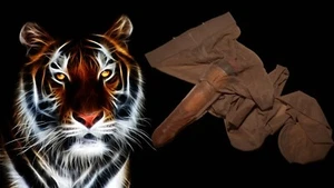 Sexy  Herren Strumpfhose schickes Braun/ glänzend mit Penishülle 15 DEN Gr.: S/M - Bild 1 von 1