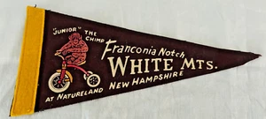 VTG New Hampshire JUNIOR the CHIMP Franconia Notch, White Mountains NH Pennant - Picture 1 of 3
