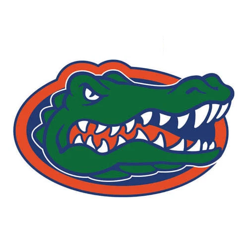 Florida Gators Logo Wall / Cornhole Decal -Size:14'5"W x 9'5"H outdoor indoor - Image 1 of 1