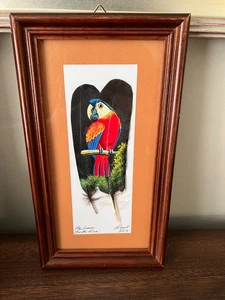 Handbemalte Federn Papagei Costa Rica Künstler signiert PASSEPARTOUT GERAHMT 2010 VOGEL - Bild 1 von 5