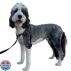 ShawnCo Dream Walk Pro Imbracatura per Cani - Senza Tirare, Comoda, Regolabile, Facile da - Foto 1 di 5