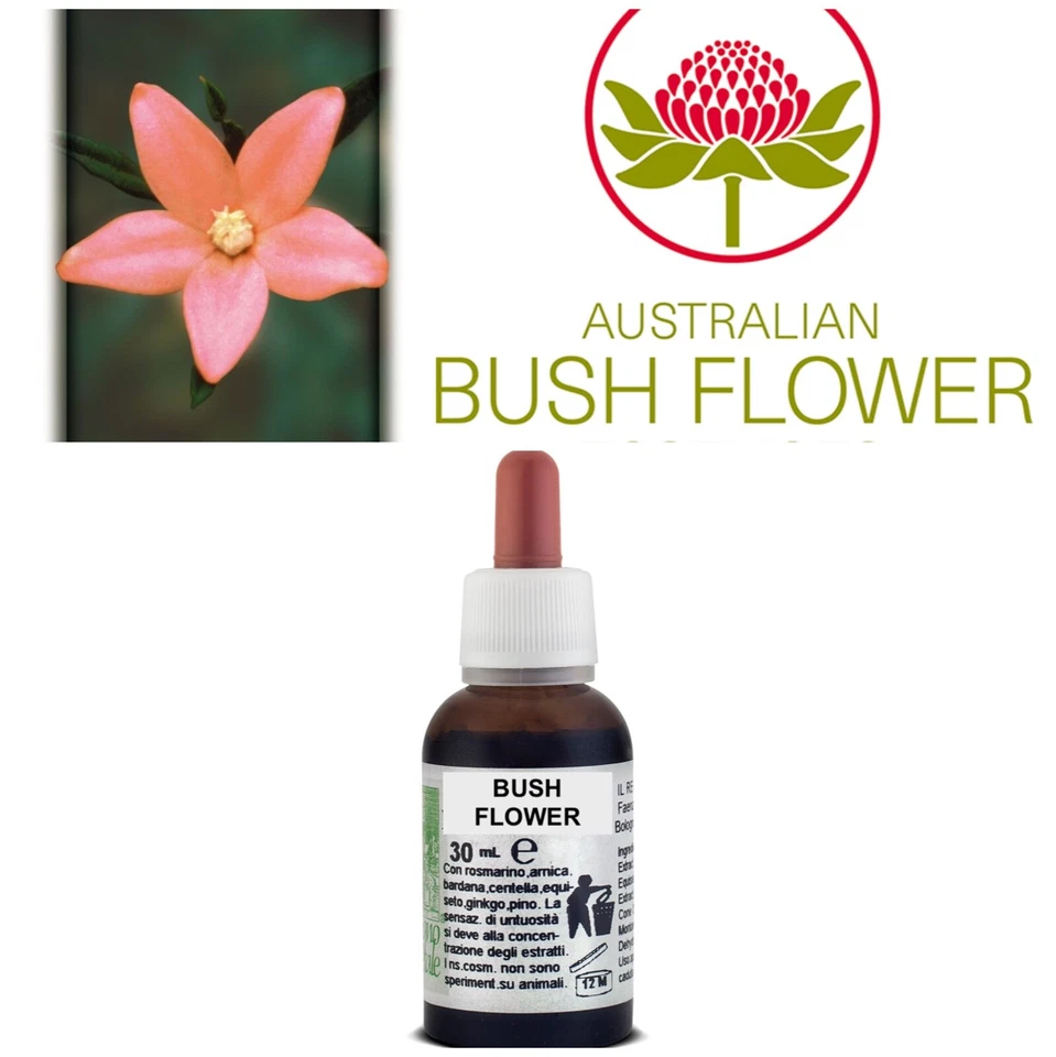 GREEN REMEDIES FIORI AUSTRALIANI Crowea ANSIA-PREOCCUPAZIONE/Equilibrio Pace Tranquillità 30 ml
