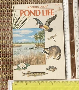 VINTAGE 1967 - A GOLDEN NATURE GUIDE - POND LIFE - Picture 1 of 7