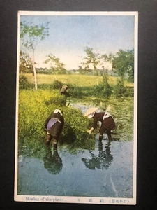 Japan Vintage real photo ‘ Mowing of Rice Plants’ VGC Unused UK Free P&P - Picture 1 of 1
