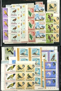 COMMONWEALTH BIRDS 1961-76 DUPLICATED + BLOCKS UNMOUNTED MINT 266 stamps cv £220 - Picture 1 of 1