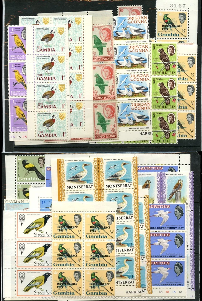 COMMONWEALTH BIRDS 1961-76 DUPLICATED + BLOCKS UNMOUNTED MINT 266 stamps cv £220 - Image 1 of 1