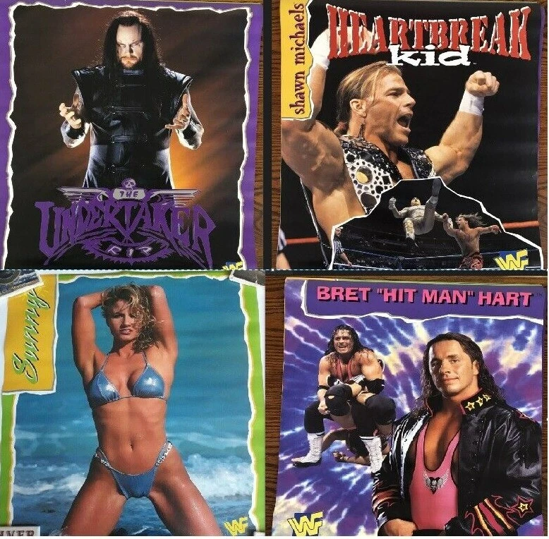 Vintage WWF WWE Poster 16x20 NEW Sunny Shawn Michaels Bret Hart 1997 - Image 1 of 1