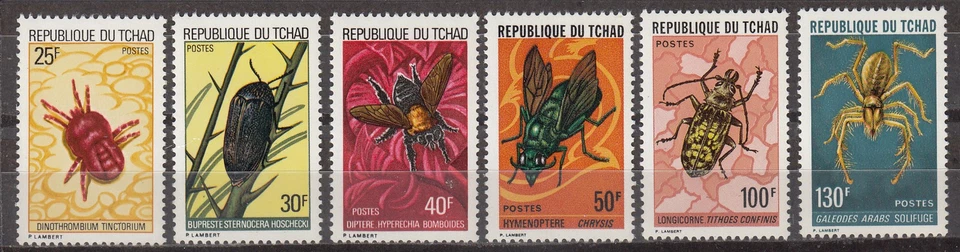 W CHAD 0295-300 INSECTS - Image 1 of 1