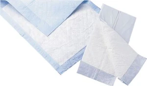 200 ct 23x24 almohadilla inferior desechable para incontinencia básica silla de ruedas para adultos cama - Imagen 1 de 1