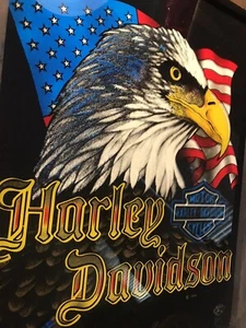 1986 Harley Davidson Glass Mirror Sign Eagle 3D Emblem Shirt Motorcycle Cave Art - Picture 1 of 4