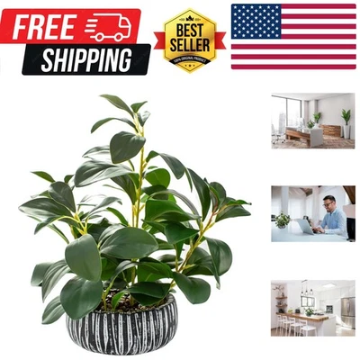 Eco-Friendly Faux Succulent Plant in Black Clay Planter - No Maintenance Needed - Image 1 of 4