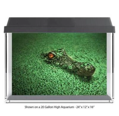 Nuevo fondo oculto de acuario con gota trasera de vidrio para pecera de poliéster Swamp Gator Foto 1 de 4