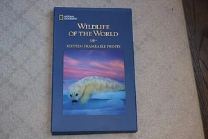 National Geographic Wildlife of the World 15 Frameable Prints 2013 Owl Panda Fro - Picture 1 of 5