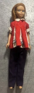 Muñeca Barbie Skipper Mattel castaño rojizo pelo rojo ojos azules de colección Japón 1963 - Imagen 1 de 22