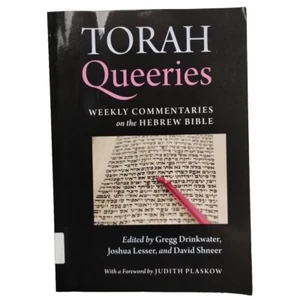 Torah Queeries Weekly Commentaries on the Hebrew Bible Gregg Drinkwater 2012 SC - Picture 1 of 6