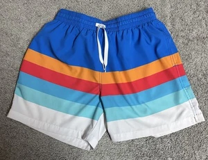 Chubbies Swim Trunks Mens Size Medium 5.5" Inseam Blue Striped Surf lined - Picture 1 of 9