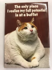 The Only Place I Realize My Full Potential - Funny Fridge Magnet - Bild 1 von 1