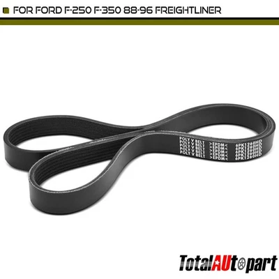 49.61 英寸重型蛇形皮带适用于福特 F-250 F-350 1988 - 1996 Freightliner — 第 1/4 张图片