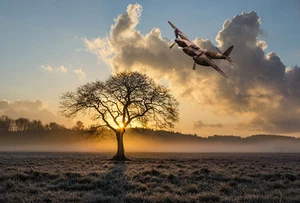 2 archivos de imagen de mosquitos De Havilland - Imagen 1 de 2