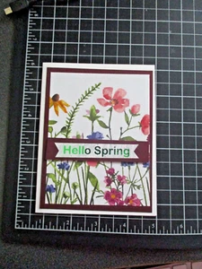 HELLO SPRING HANDMADE CARD emc#18 - Picture 1 of 3