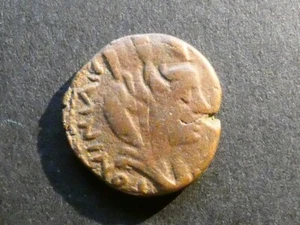 T7.24. Roman Provincial, Caracalla, Mesopotamia, Carrhae, AE18. - Picture 1 of 2