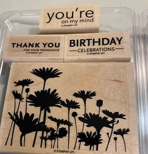 Stampin’ Up! Upsy Daisy Set Of 4 Stamps Daisies & Mixed Phrases - Picture 1 of 10