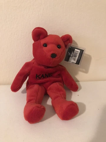 Vintage Kane 1999 WWF Attitude Bears Plush Beanie Bear Doll Figure WWE With Tags Cover