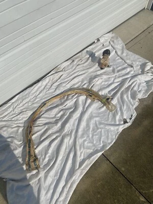 Cuarto de rueda izquierda Pontiac GM OEM 6000 arco acampanado moldura montaje derecho 85 Foto 1 de 4