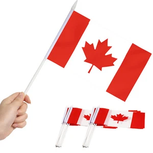 Anley Canada Mini Flag 12 Pack Hand Held Small Miniature Canadian Flags on Stick - Picture 1 of 7