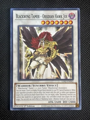 YuGiOh! - Blackwing Tamer - Obsidian Hawk Joe LDS2-EN042 Common 1st Edition NM - Image 1 of 2