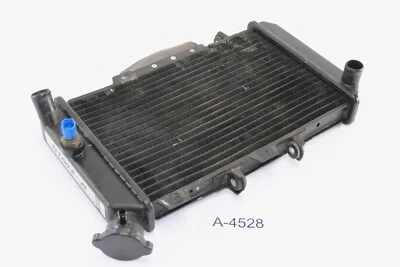 Hyosung GT 650 Comet año 2005 - radiador enfriador de agua A4528 Foto 1 de 2