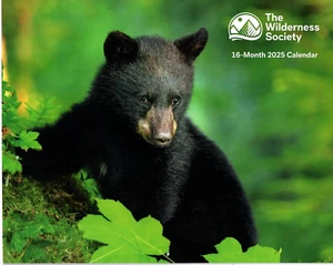 2025 The Wilderness Society Wall Calendar - Picture 1 of 7