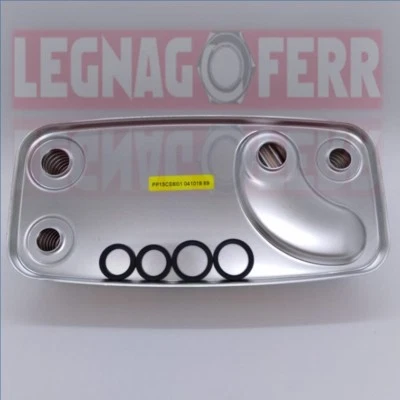 IMMERGAS SCAMBIATORE A PIASTRE SANITARIO EOLO IONO MAIOR 3015567 - Immagine 1 di 2