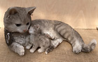 Tabby Kitten and Baby Vivid Arts Indoor Outdoor Ornament Długość 35cm