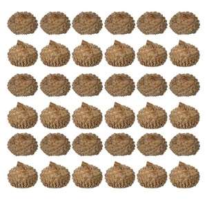  150 Pezzi Guscio di Ghianda Naturale Frutta Artificiale Decorazione Tappo Forniture Artigianali - Foto 1 di 12