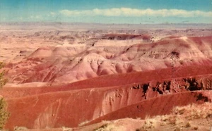 Gemalte Desert National Monument Arizona Vintage Postkarte Panoramablick verschickt - Bild 1 von 2