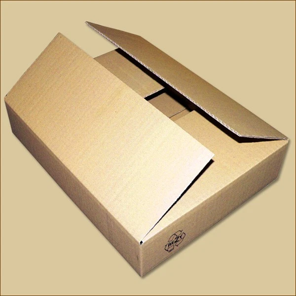 PACKEN24 Karton Faltkarton Faltschachteln 390 x 300 x 80 mm einwellig