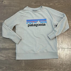 Patagonia Sweatshirt Youth Large Grey Pullover Crew Neck Logo Graphic Front G1 - Picture 1 of 6