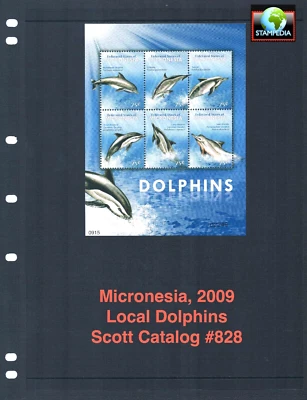 $9.00 Scott Value - 2009 MICRONESIA Dolphins s/s South Pacific CV MNH NH UMM - Image 1 of 4
