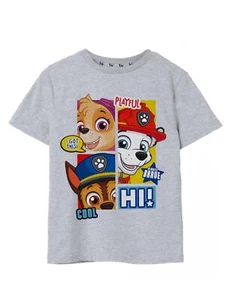 Paw Patrol Grey Peekaboo Short Sleeved T-Shirt Boys - Picture 1 of 28