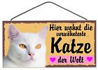 Trschild KATZE WEISS Tierschild Katze aus Holz Holzschild 25x12,5cm wetterfest