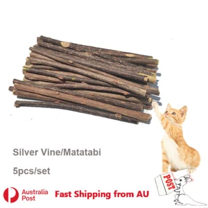 5x Silver Vine Sticks Cat Chew Dental Dry Matatabi Toy Kitten Clean Tooth Health - Picture 1 of 4